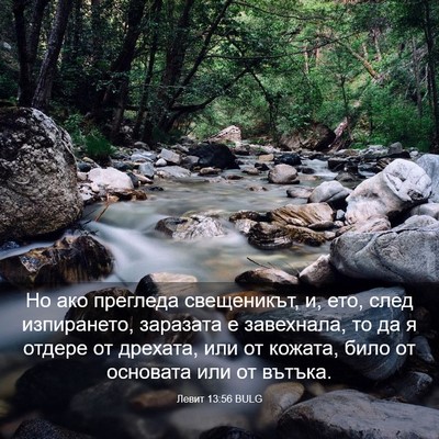 Picture 03 - Левит 13:56 BULG - Но ако прегледа - Bible Verse Picture