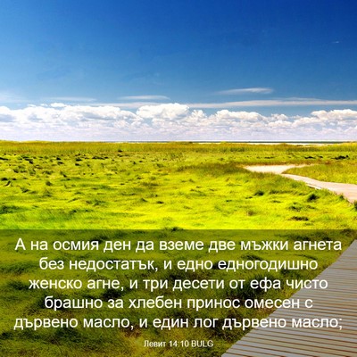 Picture 03 - Левит 14:10 BULG - А на осмия ден да вземе две - Bible Verse Picture