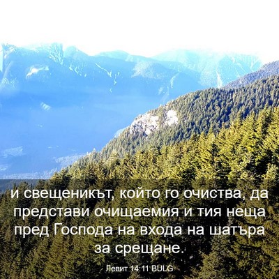 Picture 03 - Левит 14:11 BULG - и свещеникът, който го - Bible Verse Picture