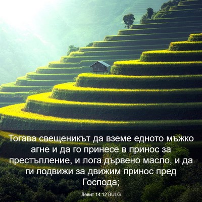 Picture 03 - Левит 14:12 BULG - Тогава свещеникът да вземе - Bible Verse Picture
