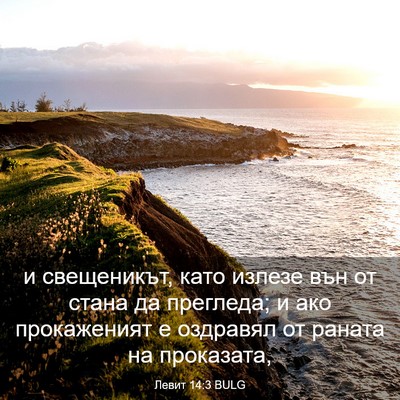 Picture 03 - Левит 14:3 BULG - и свещеникът, като излезе - Bible Verse Picture
