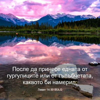 Picture 03 - Левит 14:30 BULG - После да принесе едната от - Bible Verse Picture