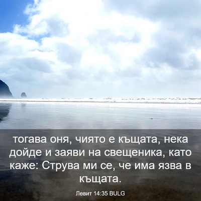 Picture 03 - Левит 14:35 BULG - тогава оня, чиято е къщата, - Bible Verse Picture