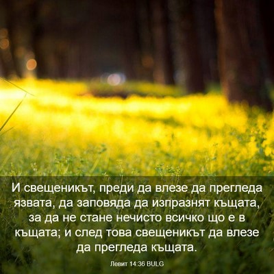Picture 03 - Левит 14:36 BULG - И свещеникът, преди да - Bible Verse Picture