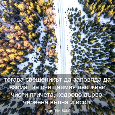 Picture 03 - Левит 14:4 BULG - тогава свещеникът да - Bible Verse Picture
