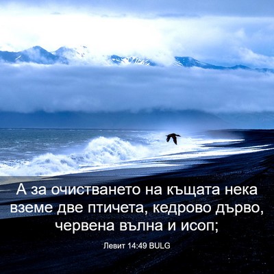 Picture 03 - Левит 14:49 BULG - А за очистването на къщата - Bible Verse Picture