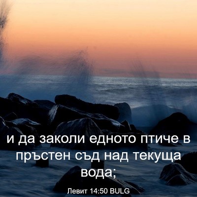 Picture 03 - Левит 14:50 BULG - и да заколи едното птиче в - Bible Verse Picture