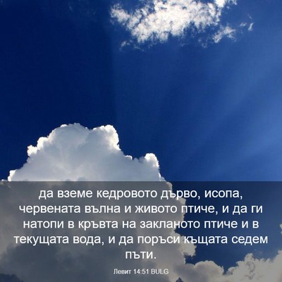 Picture 03 - Левит 14:51 BULG - да вземе кедровото дърво, - Bible Verse Picture