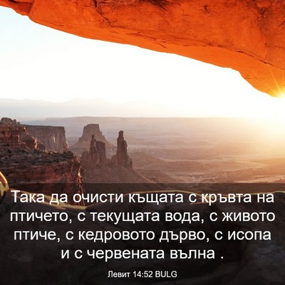 Picture 03 - Левит 14:52 BULG - Така да очисти къщата с - Bible Verse Picture