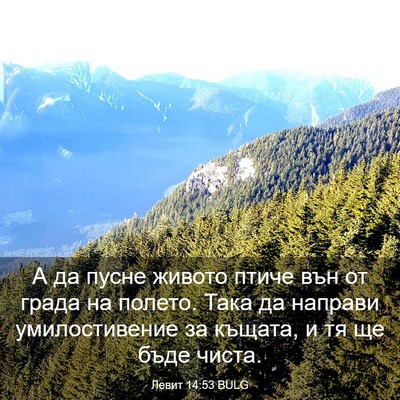 Picture 03 - Левит 14:53 BULG - А да пусне живото птиче вън - Bible Verse Picture