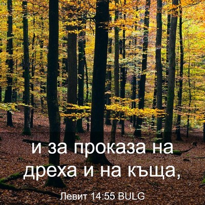 Picture 03 - Левит 14:55 BULG - и за проказа на дреха и на - Bible Verse Picture
