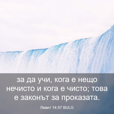 Picture 03 - Левит 14:57 BULG - за да учи, кога е нещо - Bible Verse Picture