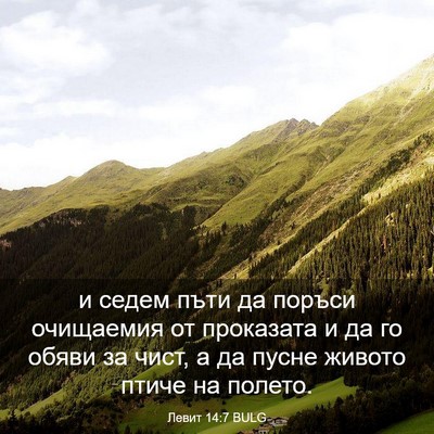 Picture 03 - Левит 14:7 BULG - и седем пъти да поръси - Bible Verse Picture
