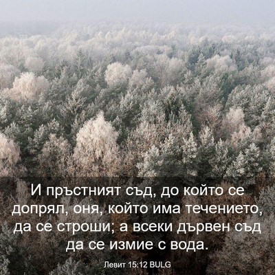 Picture 03 - Левит 15:12 BULG - И пръстният съд, до който - Bible Verse Picture