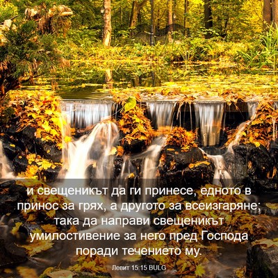 Picture 03 - Левит 15:15 BULG - и свещеникът да ги принесе, - Bible Verse Picture