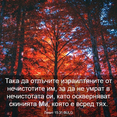 Picture 03 - Левит 15:31 BULG - Така да отлъчите - Bible Verse Picture