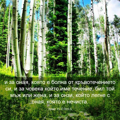Picture 03 - Левит 15:33 BULG - и за оная, която е болна от - Bible Verse Picture