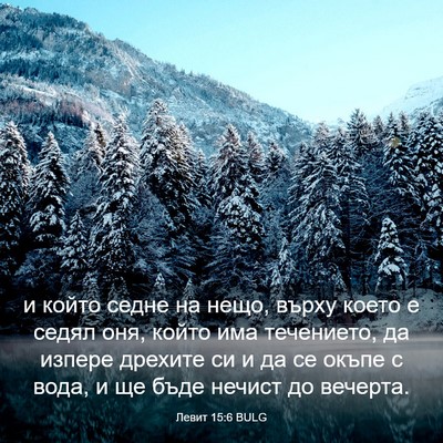 Picture 03 - Левит 15:6 BULG - и който седне на нещо, - Bible Verse Picture