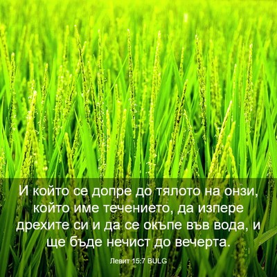 Picture 03 - Левит 15:7 BULG - И който се допре до тялото - Bible Verse Picture