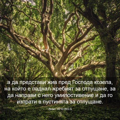 Picture 03 - Левит 16:10 BULG - а да представи жив пред - Bible Verse Picture