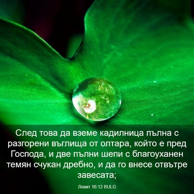 Picture 03 - Левит 16:12 BULG - След това да вземе - Bible Verse Picture