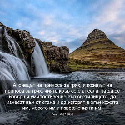 Picture 03 - Левит 16:27 BULG - А юнецът на приноса за - Bible Verse Picture