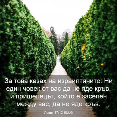 Picture 03 - Левит 17:12 BULG - За това казах на - Bible Verse Picture