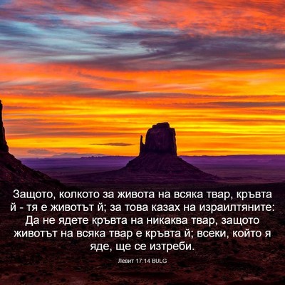 Picture 03 - Левит 17:14 BULG - Защото, колкото за живота - Bible Verse Picture