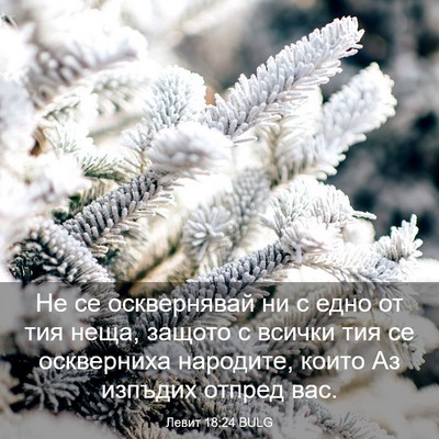 Picture 03 - Левит 18:24 BULG - Не се осквернявай ни с едно - Bible Verse Picture