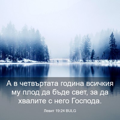 Picture 03 - Левит 19:24 BULG - А в четвъртата година - Bible Verse Picture