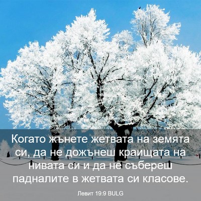 Picture 03 - Левит 19:9 BULG - Когато жънете жетвата на - Bible Verse Picture