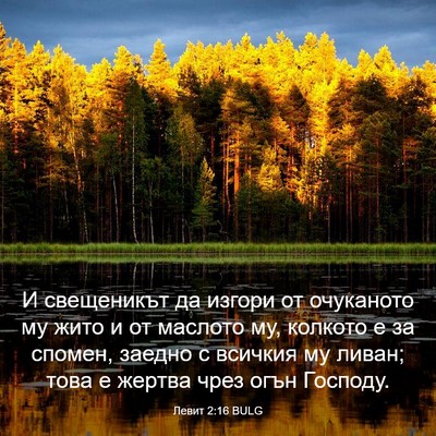 Picture 03 - Левит 2:16 BULG - И свещеникът да изгори от - Bible Verse Picture