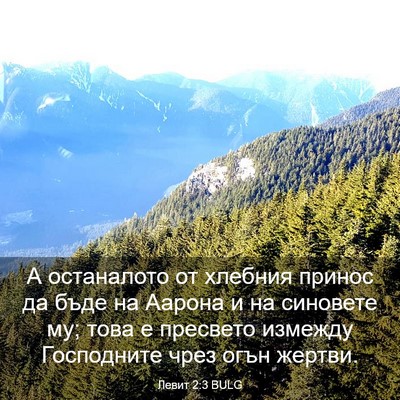 Picture 03 - Левит 2:3 BULG - А останалото от хлебния - Bible Verse Picture