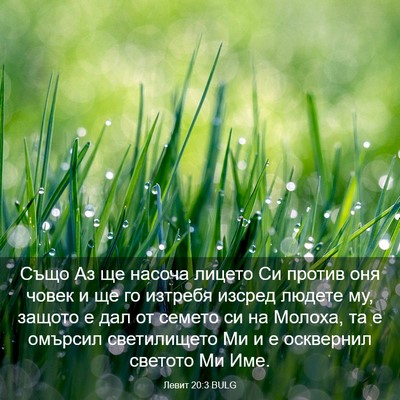 Picture 03 - Левит 20:3 BULG - Също Аз ще насоча лицето Си - Bible Verse Picture