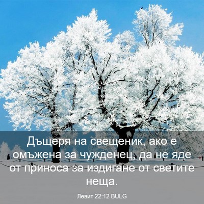 Picture 03 - Левит 22:12 BULG - Дъщеря на свещеник, ако е - Bible Verse Picture