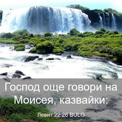 Picture 03 - Левит 22:26 BULG - Господ още говори на - Bible Verse Picture