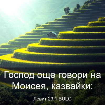 Picture 03 - Левит 23:1 BULG - Господ още говори на - Bible Verse Picture