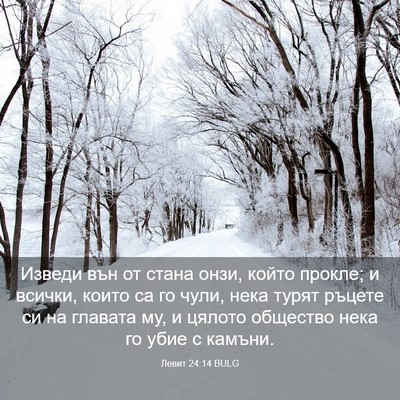 Picture 03 - Левит 24:14 BULG - Изведи вън от стана онзи, - Bible Verse Picture