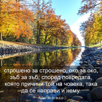 Picture 03 - Левит 24:20 BULG - строшено за строшено, око - Bible Verse Picture