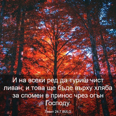 Picture 03 - Левит 24:7 BULG - И на всеки ред да туриш - Bible Verse Picture