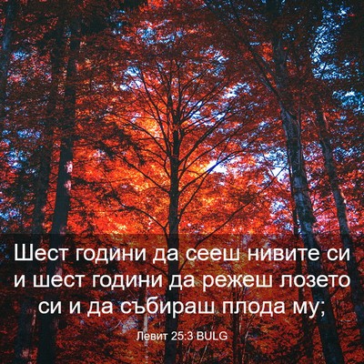 Picture 03 - Левит 25:3 BULG - Шест години да сееш нивите - Bible Verse Picture