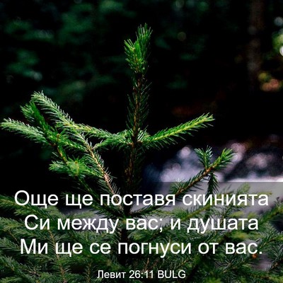 Picture 03 - Левит 26:11 BULG - Още ще поставя скинията Си - Bible Verse Picture