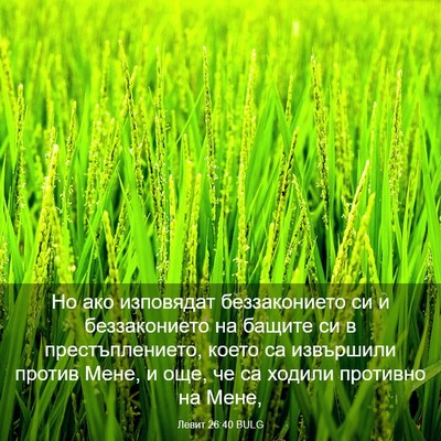 Picture 03 - Левит 26:40 BULG - Но ако изповядат - Bible Verse Picture