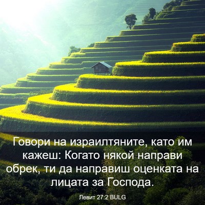 Picture 03 - Левит 27:2 BULG - Говори на израилтяните, - Bible Verse Picture