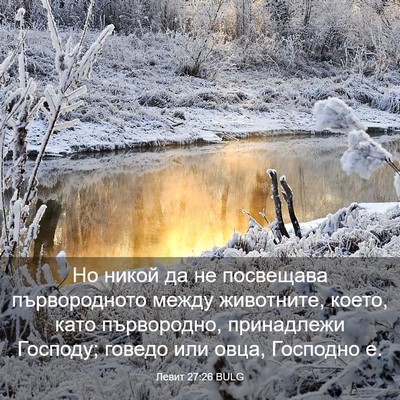 Picture 03 - Левит 27:26 BULG - Но никой да не посвещава - Bible Verse Picture