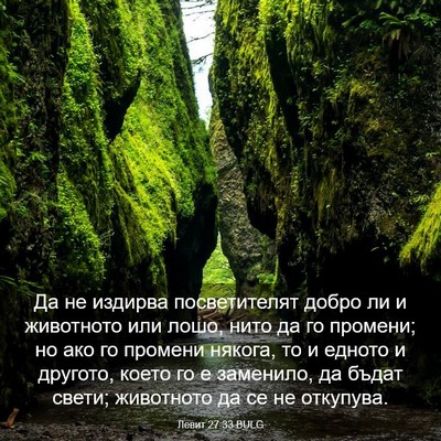 Picture 03 - Левит 27:33 BULG - Да не издирва посветителят - Bible Verse Picture