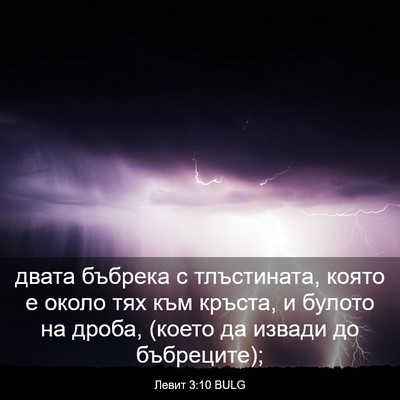 Picture 03 - Левит 3:10 BULG - двата бъбрека с - Bible Verse Picture