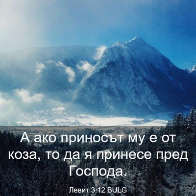 Picture 03 - Левит 3:12 BULG - А ако приносът му е от коза, - Bible Verse Picture