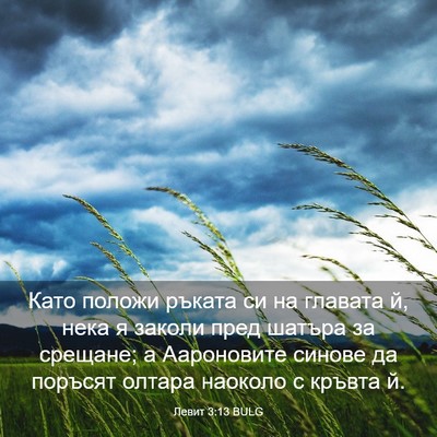 Picture 03 - Левит 3:13 BULG - Като положи ръката си на - Bible Verse Picture
