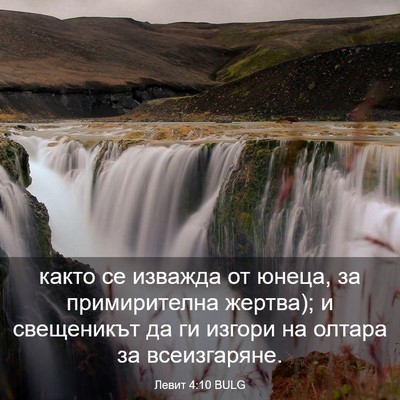 Picture 03 - Левит 4:10 BULG - както се изважда от юнеца, - Bible Verse Picture